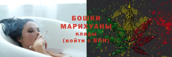 PSILOCYBIN Белокуриха