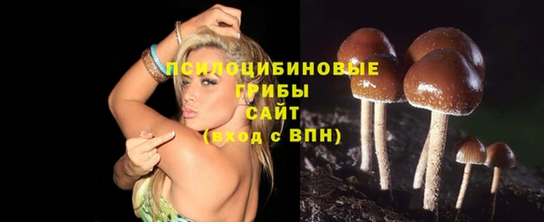 мяу мяу мука Беломорск