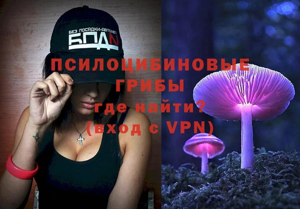 PSILOCYBIN Белокуриха
