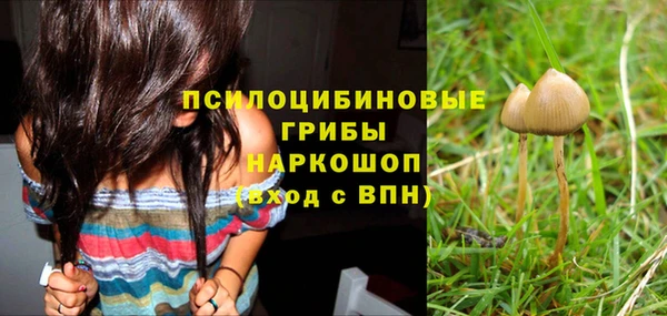 PSILOCYBIN Белокуриха
