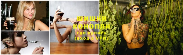 PSILOCYBIN Белокуриха