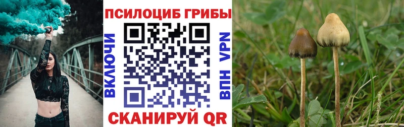shop Telegram  Нарьян-Мар  Псилоцибиновые грибы Psilocybe  блэк спрут зеркало 